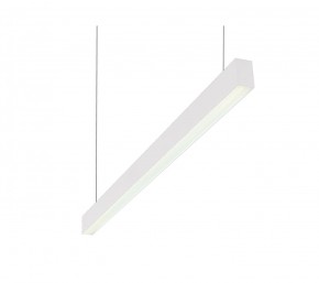 DK9124-WH Линейный светильник 30W 1250mm 4000K, белый в Снежинске - snezhinsk.mebel24.online | фото 1
