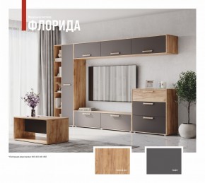 ФЛОРИДА Гостиная (модульная) дуб золотой/графит в Снежинске - snezhinsk.mebel24.online | фото