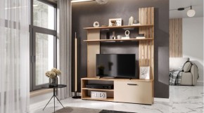 КАРОЛИНА Гостиная в Снежинске - snezhinsk.mebel24.online | фото 2