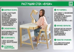 Комплект растущий стол и стул с чехлом 38 попугаев «Вуди» (Серый, Береза, Салют) в Снежинске - snezhinsk.mebel24.online | фото
