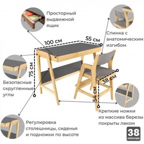 Комплект растущий стол и стул с чехлом 38 попугаев «Вуди» (Серый, Береза, Серый) в Снежинске - snezhinsk.mebel24.online | фото