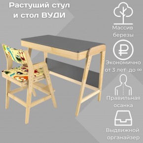 Комплект растущий стол и стул с чехлом 38 попугаев «Вуди» (Серый, Без покрытия, Монстры) в Снежинске - snezhinsk.mebel24.online | фото
