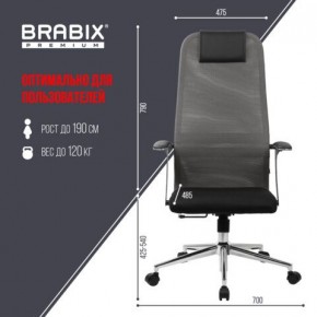 Кресло офисное BRABIX PREMIUM "Ultimate EX-801" хром, плотная двойная сетка Х2, черное/серое, 532918 в Снежинске - snezhinsk.mebel24.online | фото 5