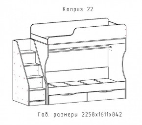 КАПРИЗ-22 Кровать двухъярусная 800 настил ЛДСП в Снежинске - snezhinsk.mebel24.online | фото 2