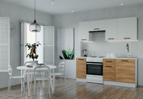 Кухонный гарнитур Лада 2000 (Стол. 38мм) в Снежинске - snezhinsk.mebel24.online | фото