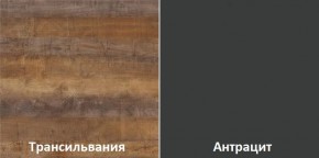 Кухонный гарнитур угловой Трансильвания 2600х1600 мм (Стол. 38 мм) в Снежинске - snezhinsk.mebel24.online | фото 3
