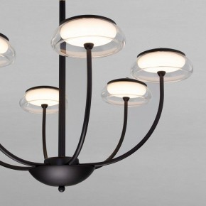 Люстра на штанге Eurosvet Fungo 50388 LED черный в Снежинске - snezhinsk.mebel24.online | фото 5