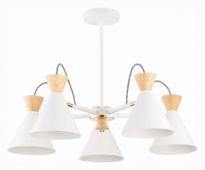 Люстра на штанге EVOLUCE Modica SLE125102-05 в Снежинске - snezhinsk.mebel24.online | фото 1