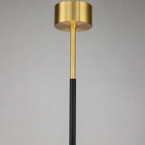 Люстра на штанге Favourite Maximo 2623-12P в Снежинске - snezhinsk.mebel24.online | фото 7
