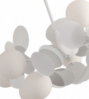 Люстра на штанге Kink Light Матиас 074160-10,01(01) в Снежинске - snezhinsk.mebel24.online | фото 2