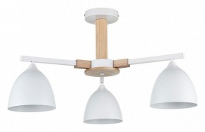 Люстра на штанге Lumion Colange 8095/3C в Снежинске - snezhinsk.mebel24.online | фото
