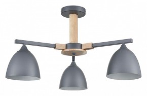 Люстра на штанге Lumion Colange 8096/3C в Снежинске - snezhinsk.mebel24.online | фото