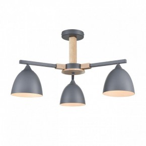 Люстра на штанге Lumion Colange 8096/3C в Снежинске - snezhinsk.mebel24.online | фото 2