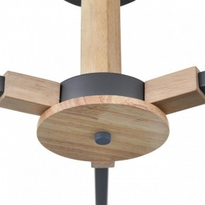 Люстра на штанге Lumion Colange 8096/3C в Снежинске - snezhinsk.mebel24.online | фото 7