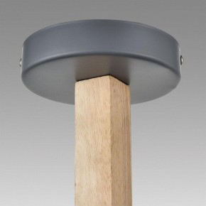 Люстра на штанге Lumion Colange 8096/3C в Снежинске - snezhinsk.mebel24.online | фото 9