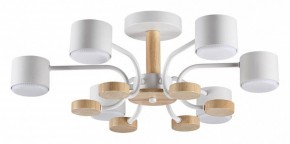 Люстра на штанге Lumion Rondo 8231/6C в Снежинске - snezhinsk.mebel24.online | фото