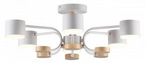 Люстра на штанге Lumion Rondo 8231/6C в Снежинске - snezhinsk.mebel24.online | фото 2