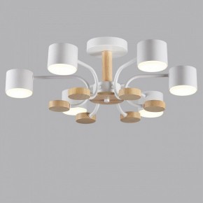 Люстра на штанге Lumion Rondo 8231/6C в Снежинске - snezhinsk.mebel24.online | фото 4