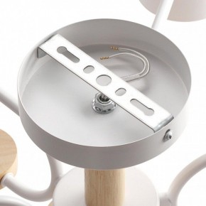 Люстра на штанге Lumion Rondo 8231/6C в Снежинске - snezhinsk.mebel24.online | фото 6