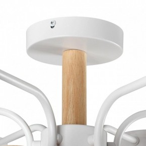 Люстра на штанге Lumion Rondo 8231/6C в Снежинске - snezhinsk.mebel24.online | фото 8