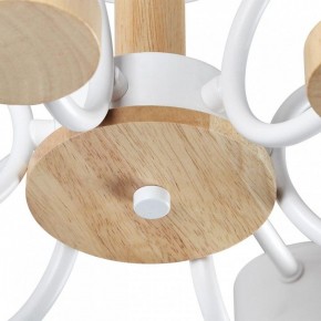 Люстра на штанге Lumion Rondo 8231/6C в Снежинске - snezhinsk.mebel24.online | фото 9