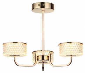 Люстра на штанге Lumion Venice 6579/40CL в Снежинске - snezhinsk.mebel24.online | фото 5