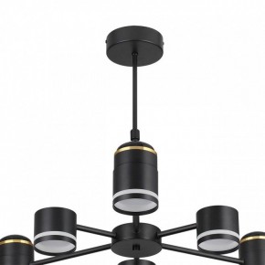 Люстра на штанге Lumion Virsava 8234/6C в Снежинске - snezhinsk.mebel24.online | фото 5