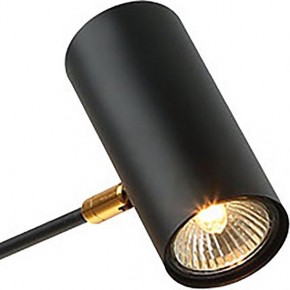 Люстра на штанге Lussole Duncan LSP-8252 в Снежинске - snezhinsk.mebel24.online | фото 3