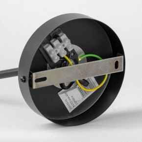 Люстра на штанге Lussole LSP-891 LSP-8914 в Снежинске - snezhinsk.mebel24.online | фото 4