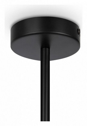 Люстра на штанге Maytoni Memory MOD177PL-04B в Снежинске - snezhinsk.mebel24.online | фото 4