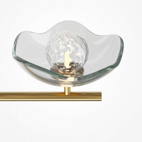 Люстра на штанге Maytoni Miracle MOD207PL-05BS в Снежинске - snezhinsk.mebel24.online | фото 5