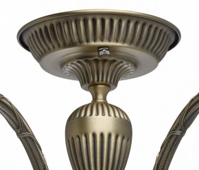 Люстра на штанге MW-Light Аманда 6 481011805 в Снежинске - snezhinsk.mebel24.online | фото 10
