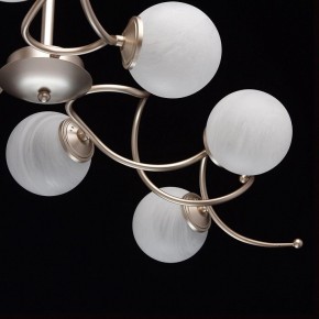 Люстра на штанге MW-Light Оливия 5 306012709 в Снежинске - snezhinsk.mebel24.online | фото 10