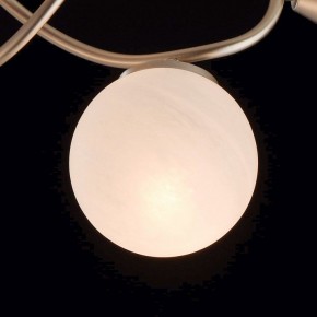 Люстра на штанге MW-Light Оливия 5 306012709 в Снежинске - snezhinsk.mebel24.online | фото 6