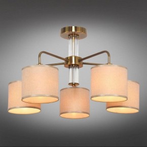 Люстра на штанге Omnilux Barumini OML-56907-05 в Снежинске - snezhinsk.mebel24.online | фото 2