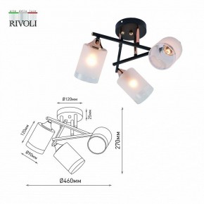 Люстра на штанге Rivoli Fiona Б0059259 в Снежинске - snezhinsk.mebel24.online | фото