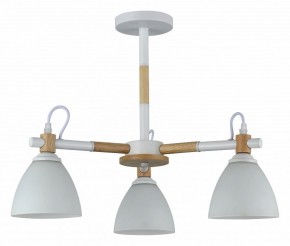 Люстра на штанге Rivoli Louise Б0060982 в Снежинске - snezhinsk.mebel24.online | фото