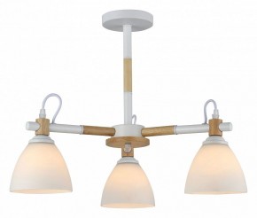 Люстра на штанге Rivoli Louise Б0060982 в Снежинске - snezhinsk.mebel24.online | фото 2