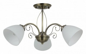 Люстра на штанге Rivoli Sue Б0060985 в Снежинске - snezhinsk.mebel24.online | фото
