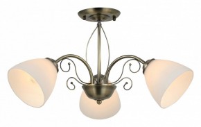 Люстра на штанге Rivoli Sue Б0060985 в Снежинске - snezhinsk.mebel24.online | фото 2