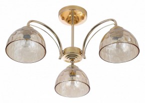Люстра на штанге Rivoli Terri Б0060988 в Снежинске - snezhinsk.mebel24.online | фото 2