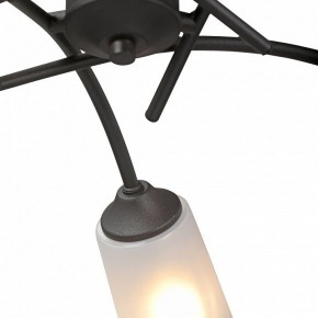 Люстра на штанге Vitaluce V2850 V2850-1/5PL в Снежинске - snezhinsk.mebel24.online | фото 6