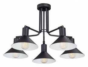 Люстра на штанге Vitaluce V4809 V4809-1/5PL в Снежинске - snezhinsk.mebel24.online | фото