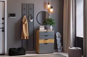 МЕБЕЛЬСОН К21 Прихожая в Снежинске - snezhinsk.mebel24.online | фото 2