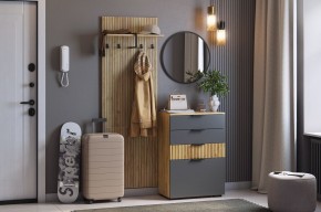 МЕБЕЛЬСОН К3 Прихожая в Снежинске - snezhinsk.mebel24.online | фото 2
