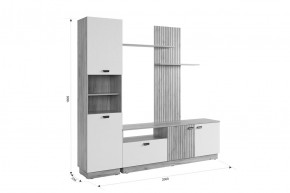 МОДИ Гостиная (модульная) белое дерево в Снежинске - snezhinsk.mebel24.online | фото 2