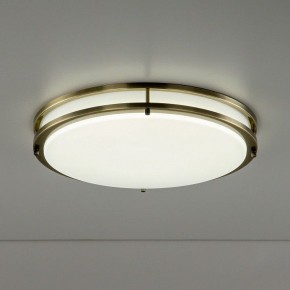 Накладной светильник Citilux Бостон CL709503N в Снежинске - snezhinsk.mebel24.online | фото 6