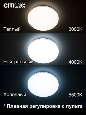 Накладной светильник Citilux Симпла CL714330G в Снежинске - snezhinsk.mebel24.online | фото 4