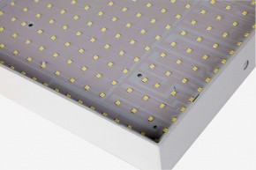 Накладной светильник Favourite Flashled 2066-30C в Снежинске - snezhinsk.mebel24.online | фото 2