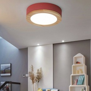 Накладной светильник Imperiumloft Wudda Красный WUDDA01 в Снежинске - snezhinsk.mebel24.online | фото 3